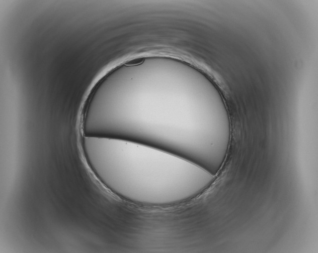X0000116391522200912020955