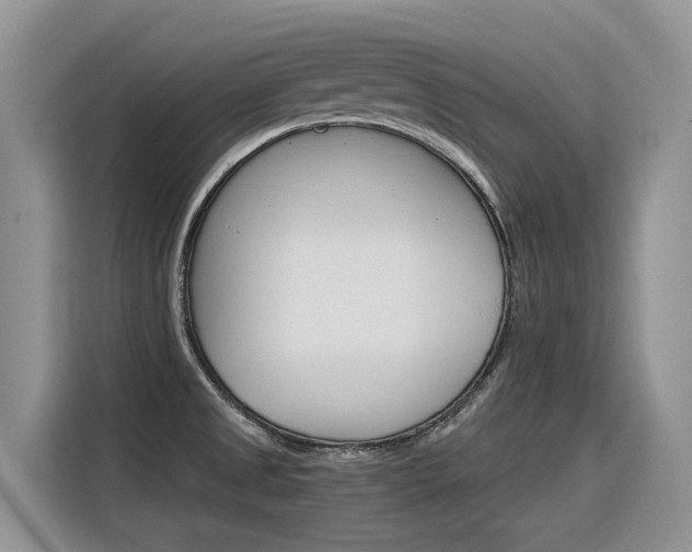 X0000116391525200912020955
