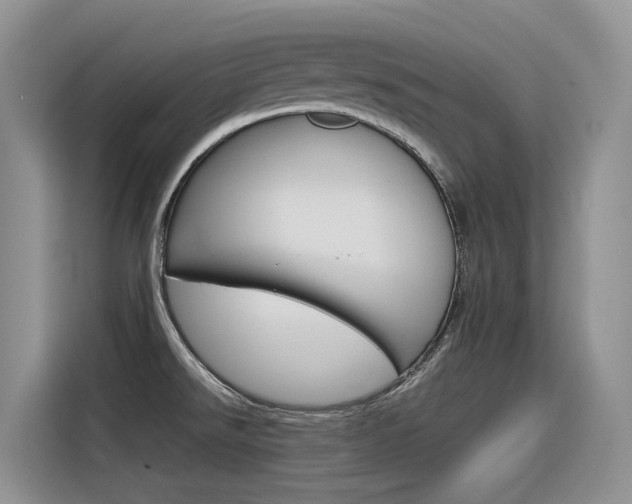 X0000116391526200912020955