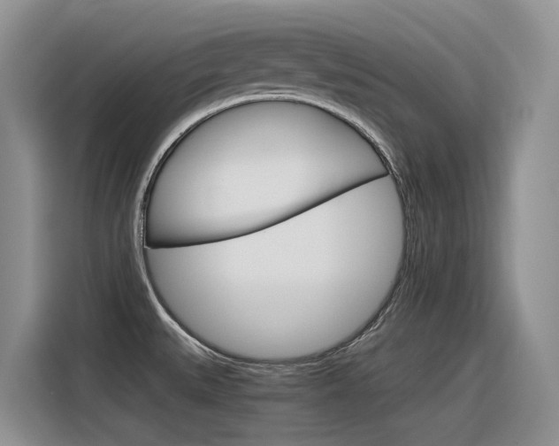 X0000116391527200912020955