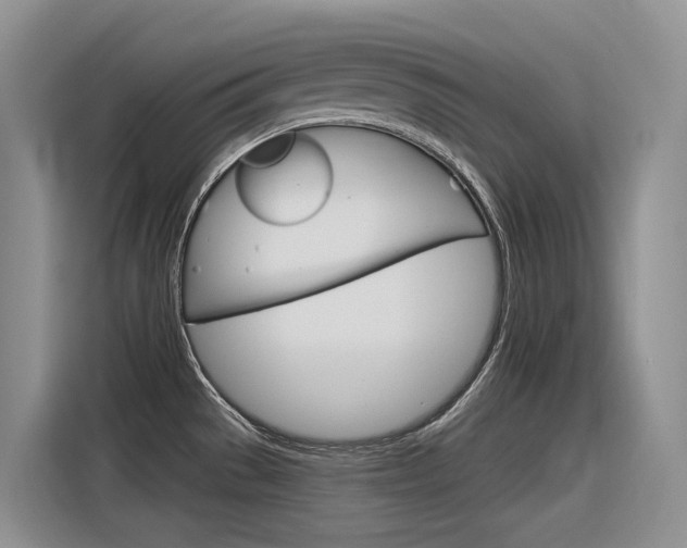 X0000116391529200912020956