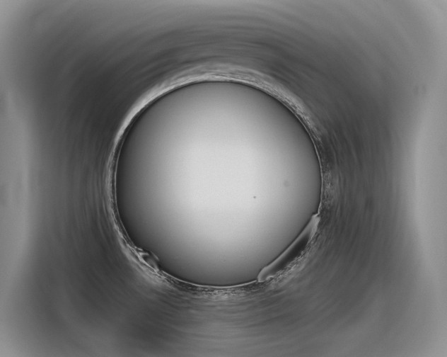 X0000116391530200912020956