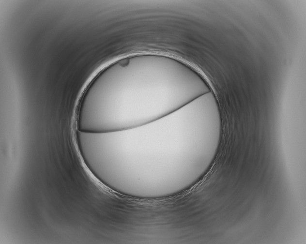 X0000116391531200912020956