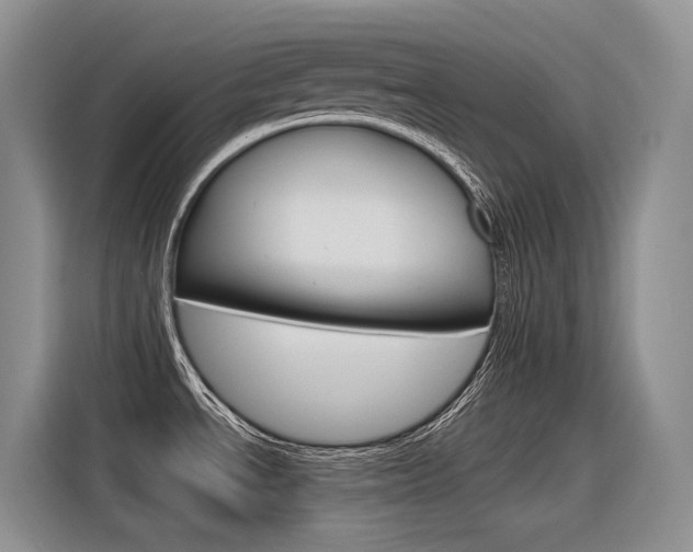 X0000116391534200912020956