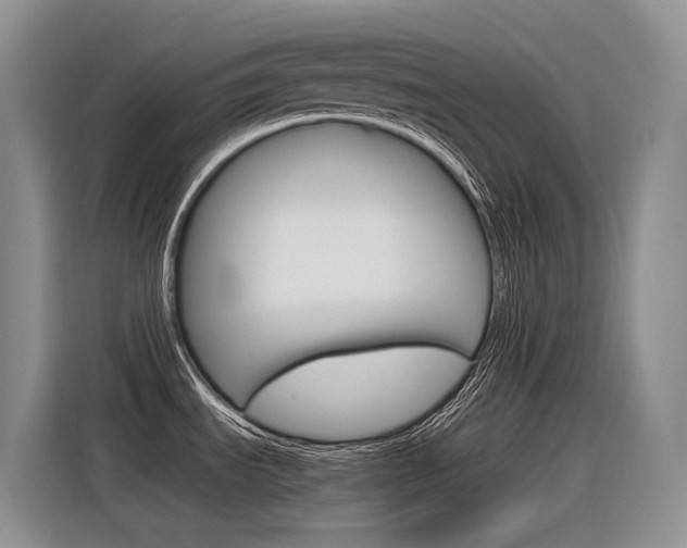 X0000116391535200912020956