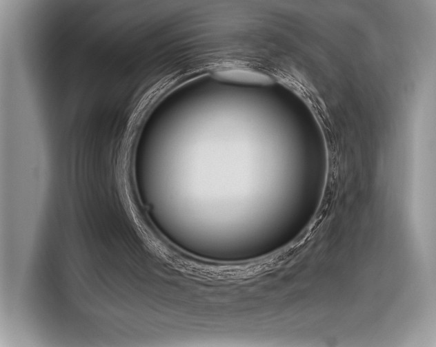 X0000116390001200912021549