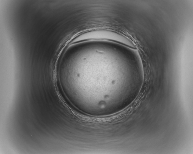 X0000116390002200912021549