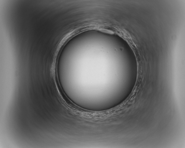 X0000116390003200912021549