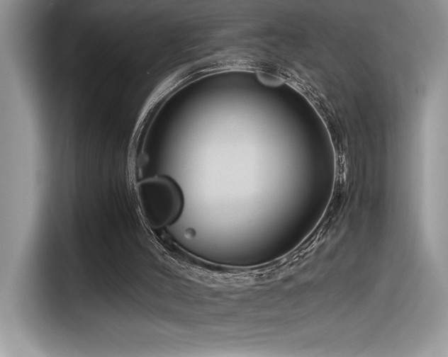X0000116390004200912021549