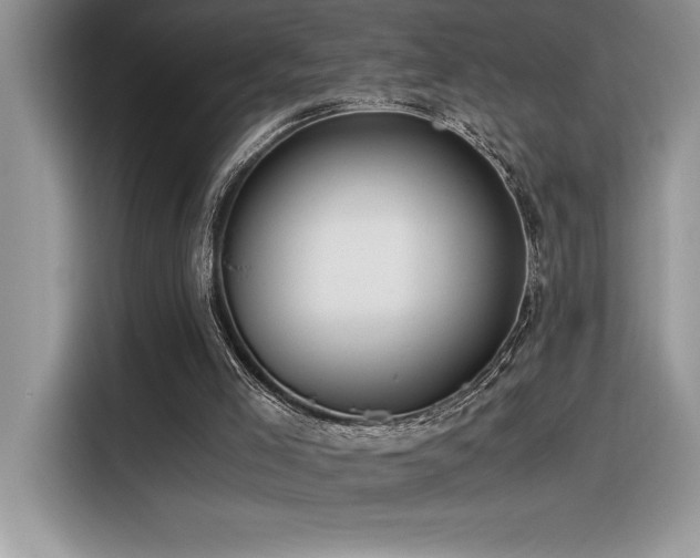 X0000116390005200912021549