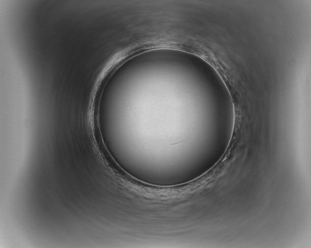 X0000116390006200912021549