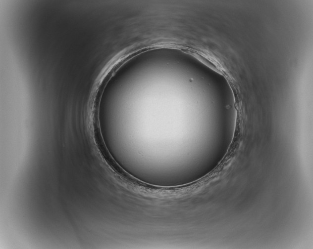 X0000116390007200912021549