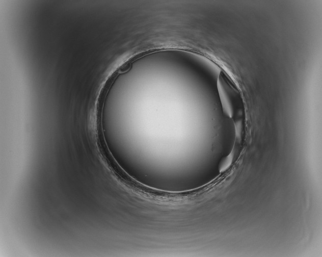 X0000116390008200912021549