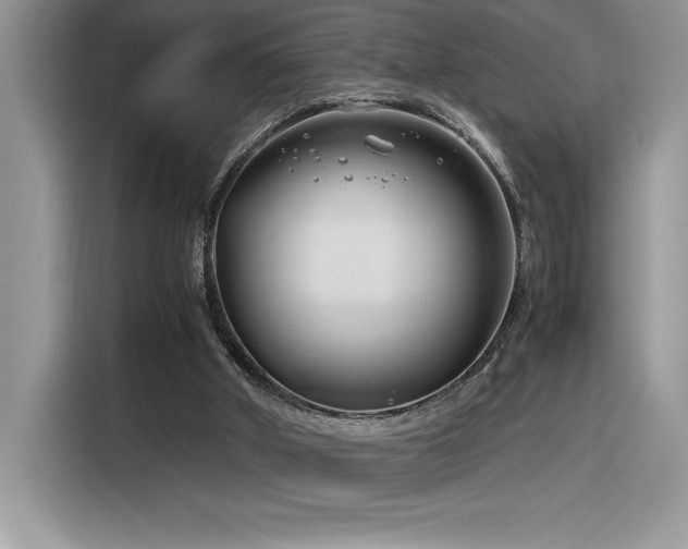 X0000116390010200912021549