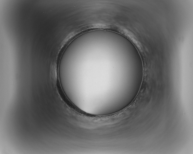 X0000116390011200912021549