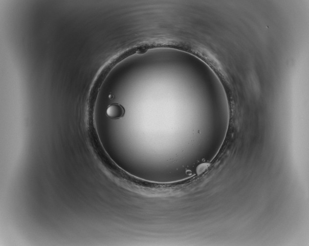 X0000116390012200912021549