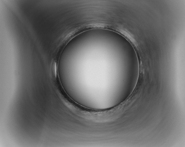 X0000116390013200912021549