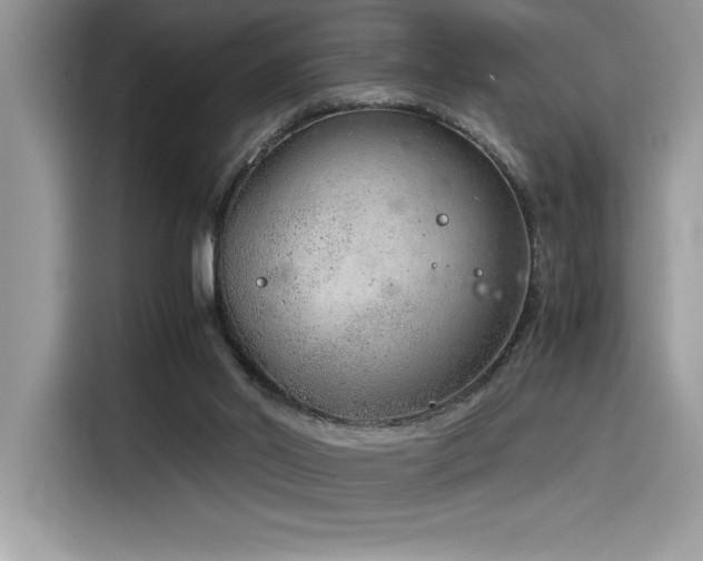 X0000116390014200912021549
