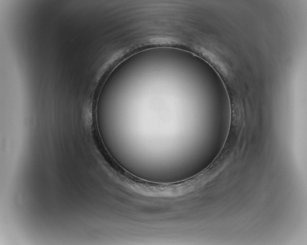 X0000116390015200912021549