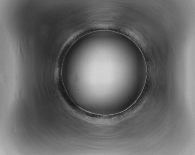 X0000116390016200912021549