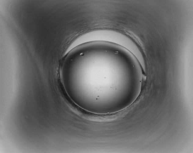 X0000116390017200912021549