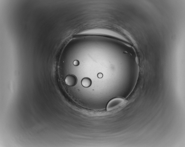 X0000116390018200912021549