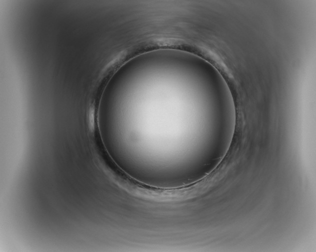 X0000116390019200912021549