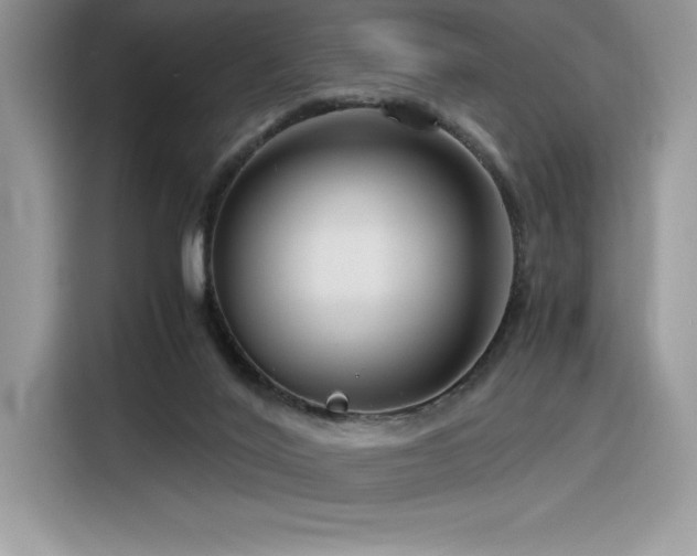 X0000116390020200912021549