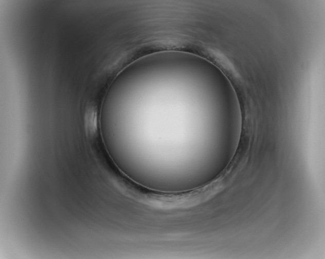 X0000116390021200912021549