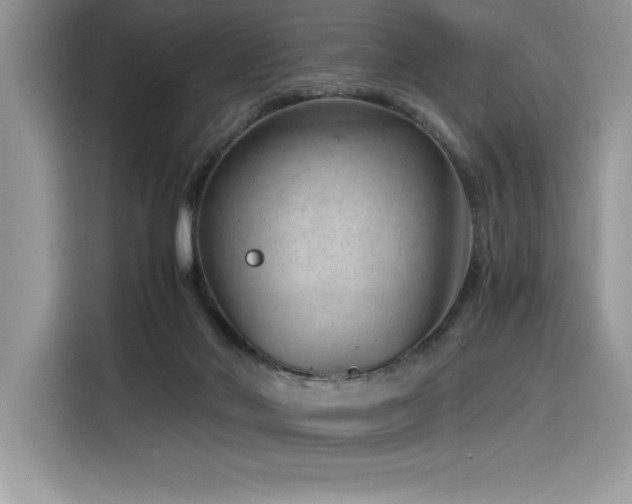 X0000116390022200912021549