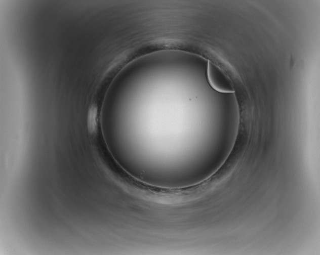 X0000116390024200912021549