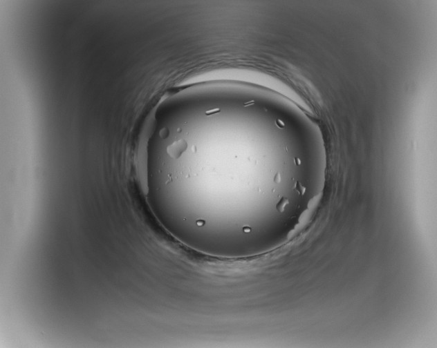 X0000116390025200912021549