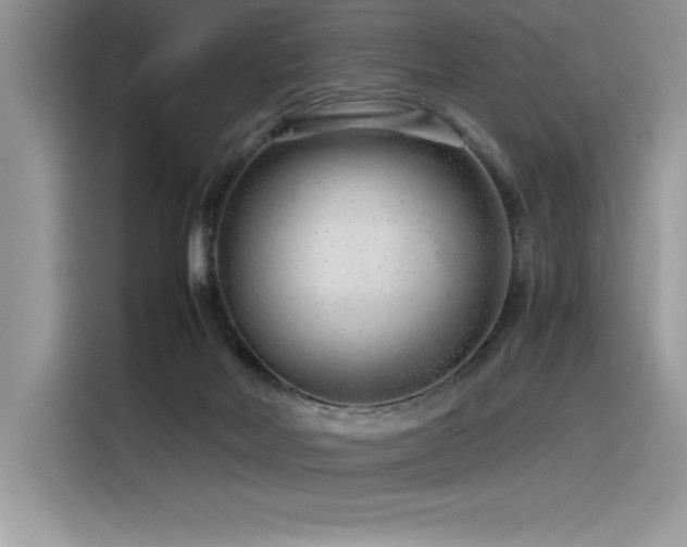 X0000116390026200912021548