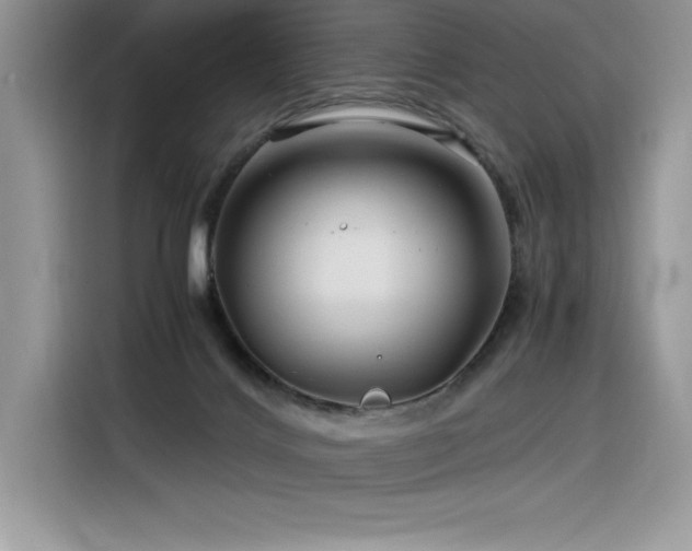 X0000116390028200912021548
