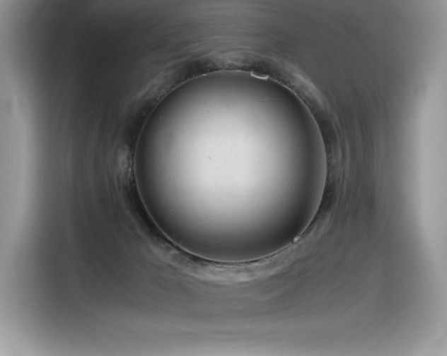 X0000116390029200912021548