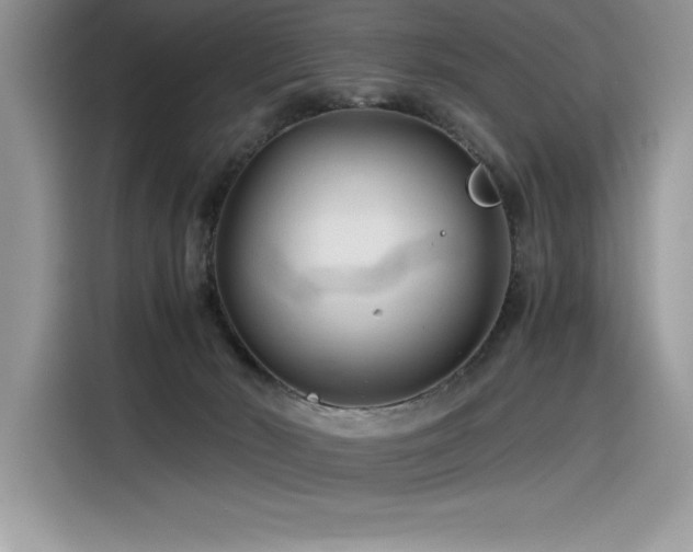 X0000116390030200912021548