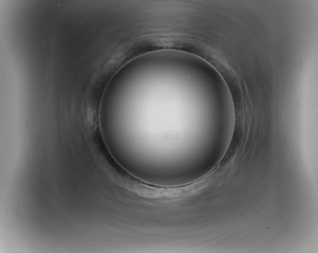 X0000116390031200912021548