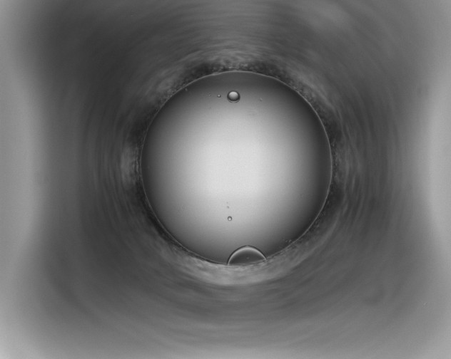 X0000116390034200912021548