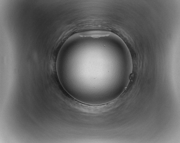 X0000116390035200912021548