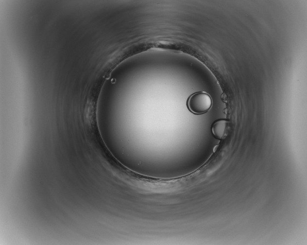 X0000116390036200912021548