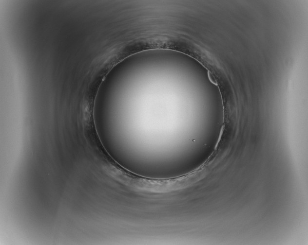 X0000116390037200912021548