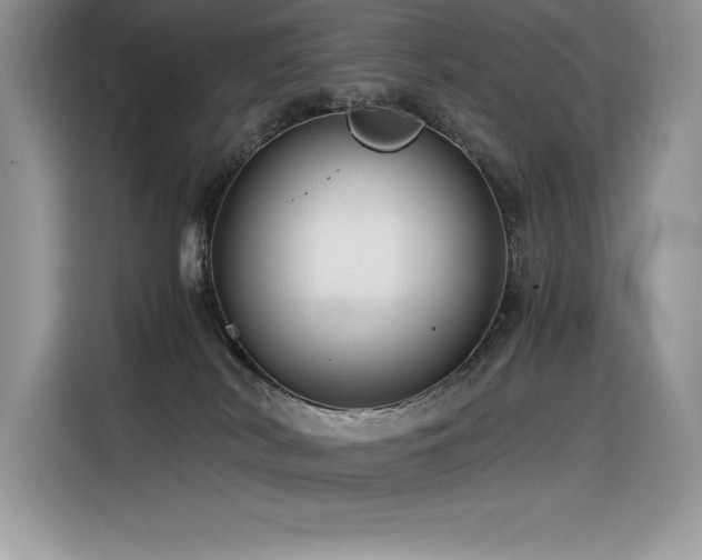 X0000116390038200912021548