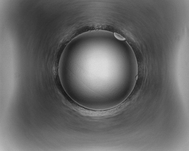 X0000116390039200912021548