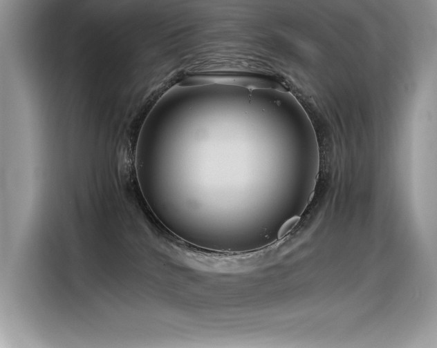 X0000116390040200912021548