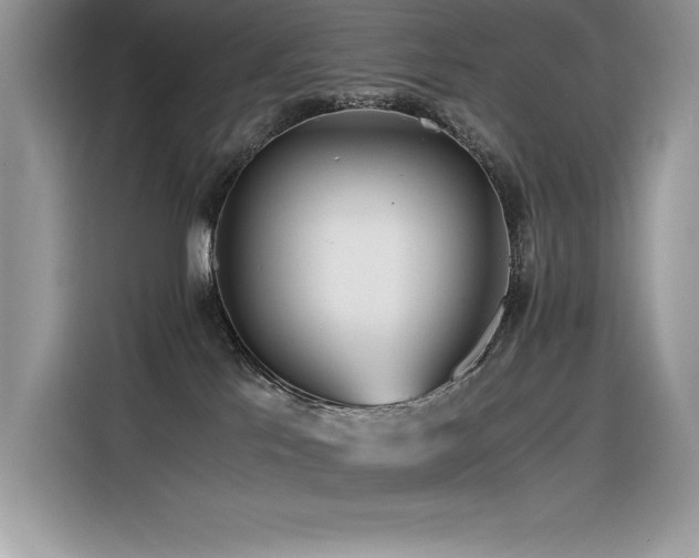 X0000116390041200912021548