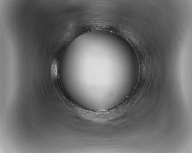 X0000116390042200912021548