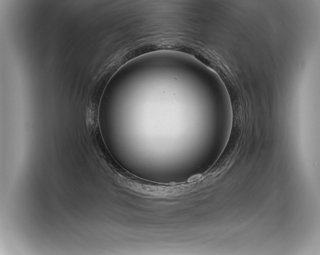 X0000116390044200912021548