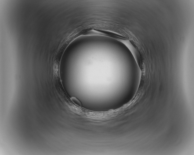 X0000116390045200912021548