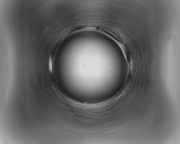 X0000116390046200912021548