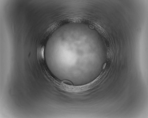 X0000116390047200912021548